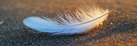 Gentle Touch A White Feather Resting on Sunlit Sand, Capturing Nature s Serenity and Beautyの素材