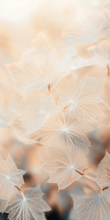 Delicate Autumn Abstract with Soft Dandelion Seed Heads in Warm Pastel Colors for Nature Backgroundの素材