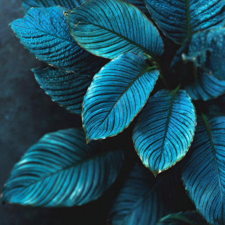 Exquisite Calathea Plant with Luxurious Leaf Structure, Intricate Textures, and Unique Patternsの素材