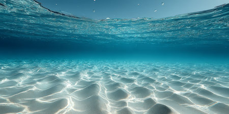 Stunning Underwater Paradise with Tranquil Blue Ocean, White Sand, and Vibrant Tropical Marine Lifeの素材