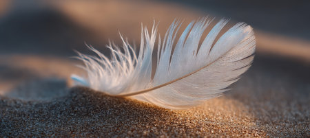 Delicate White Feather Resting on Sunlit Sandy Shore, Capturing a Serene Moment in Nature s Beautyの素材