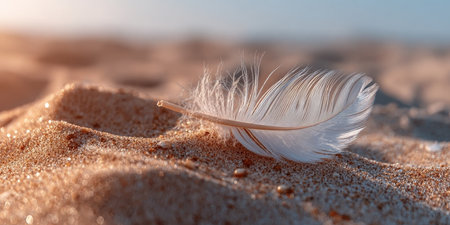 A Feather Serenity White Plume Dancing Gently on Sun-Kissed Sand, Capturing Tranquil Beach Calmの素材