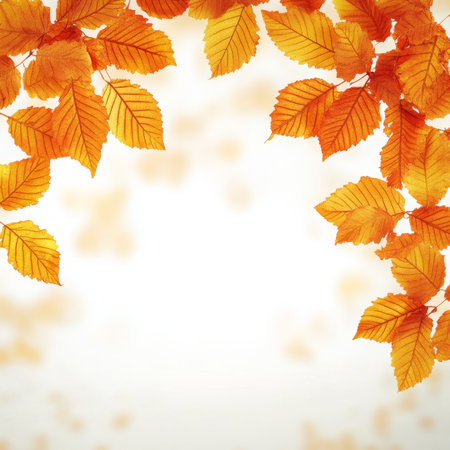 Stunning Autumn Vibes with Colorful Fall Leaves in Orange, Yellow, and Red for Thanksgiving Adsの素材