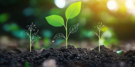 Innovative Sustainable Farming Techniques with Advanced Soil Nutrient Management Solutionsの素材
