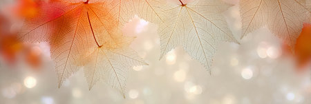 Elegant Autumn Overlay Featuring Veined Leaves and Soft Golds, Oranges with Beautiful Bokeh Effectsの素材