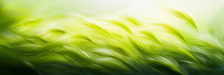 Lush Green Fields A Serene Landscape of Nature s Bounty and Agricultural Abundance Under Soft Lightの素材
