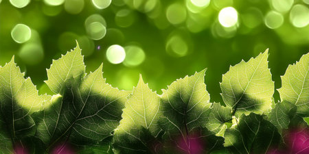 Vibrant Green Leaves Illuminated by Sunlight, Creating a Stunning Natural Background Scene in Summerの素材
