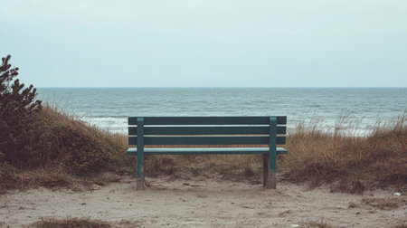 Tranquil Seascape with Serenity Bench Overlooking Dunes, Grasses, and Peaceful Ocean Horizonの素材