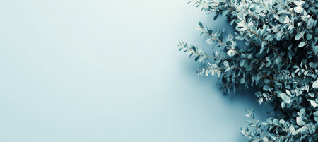 Elegant composition of fresh eucalyptus leaves on a stylish grey background with ample copy space.の素材