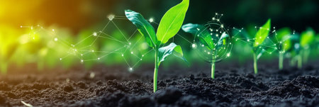 Innovative Digital Agriculture Techniques Showcasing Connected Crops and Advanced Data Solutionsの素材