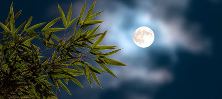Bamboo Foliage Silhouetted Against a Mystical Full Moon in a Cloudy Night Sky Creating Serenityの素材