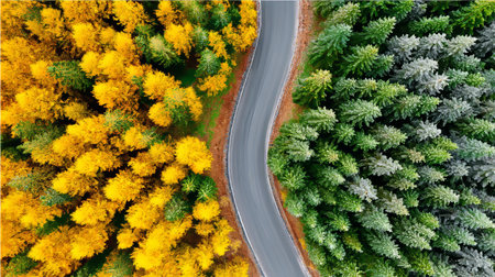 Aerial View of a Scenic Landscape with Autumn Colors and Green Fields Along Winding Roadsの素材