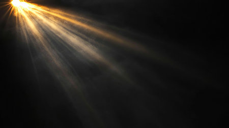 Radiant Sunlight Beams Cascading Through the Dark Forest, Creating a Magical Golden Glow Effectの素材