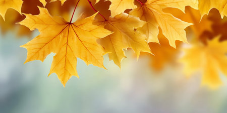 Vibrant Autumn Leaves Falling Gently in a Serene Forest, Creating a Colorful and Peaceful Sceneの素材