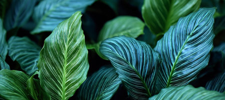 Exotic Jungle Ambiance with Lush Foliage and Verdant Views for Tranquility and Relaxation.の素材