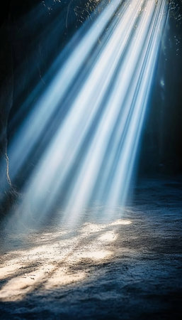 Beautiful Light Beams Glowing Through Trees, Creating an Ethereal Atmosphere with Bokeh Effectsの素材