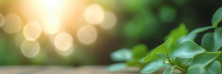 Lush Greenery with Soft Bokeh Effect An Abstract Background of Vibrant Leaves and Natural Lightの素材