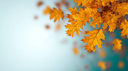 Stunning Autumn Landscape with Vibrant Fall Foliage, Golden Leaves, and Warm Textures for Holidaysの素材
