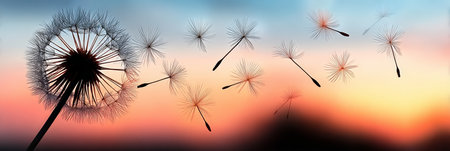 Serene Dandelion Silhouettes Against a Colorful Sunset Sky in Peaceful Evening Harmony and Beautyの素材