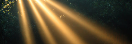 Ethereal Sunlight Pierces the Forest Canopy, Creating a Mesmerizing Display of Golden Beamsの素材