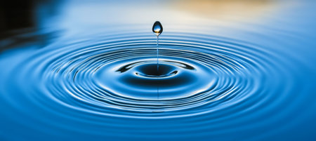 Symmetrical Ripple Patterns on Aquatic Surface Captured in Perfect Stillness After a Drop Impactの素材