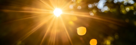 Radiant Sunlight Bursting Through Lush Green Leaves, Capturing the Golden Hour s Magic and Beautyの素材