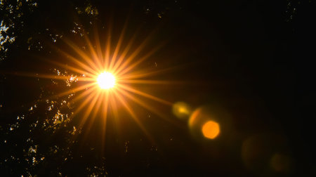 A sunbeam filters through the forest canopy, illuminating a tranquil landscape filled with beauty.の素材