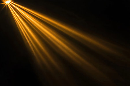 Warm Amber Light Rays Shining Brightly Through the Trees, Creating a Peaceful and Inspiring Ambianceの素材