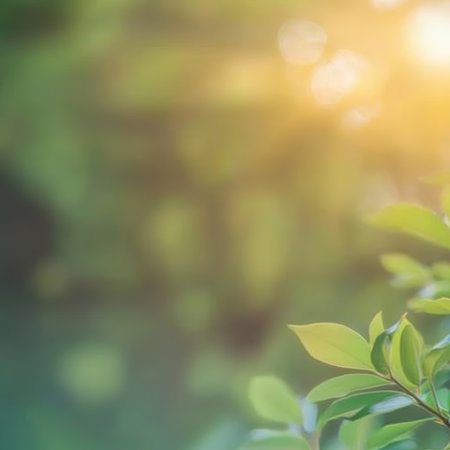 Beautiful Green Foliage with Soft Bokeh Effect and Sunlight Flare for Nature-Themed Backgroundsの素材