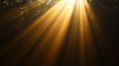 Breathtaking Sunbeams Piercing Through the Trees, Creating a Dreamy Atmosphere in Nature s Landscapeの素材