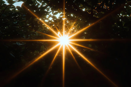Golden Sunburst Shines Through Dense Green Canopy, Radiating Warmth with Beautiful Lens Flaresの素材