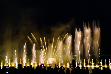 Spectacular Water Fountain Show Illuminates the Night Sky with Dancing Water Jets and Silhouettes