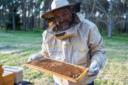 Experienced Beekeeper Inspecting Honeycomb Frame for Hive Health and Honey Productionの写真素材