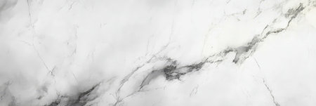 Elegant White Natural Marble Slab with Intricate Patterns for Luxurious Home Interiors and Wallsの素材