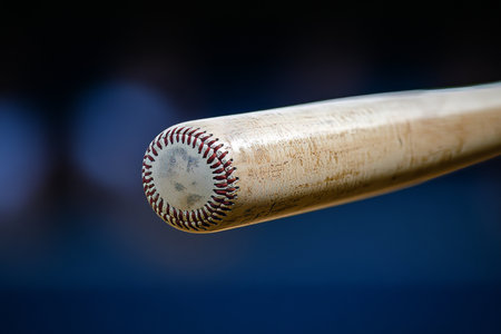 Premium Baseball Bat for Professionals Unmatched Performance, Quality Craftsmanship, and Styleの素材