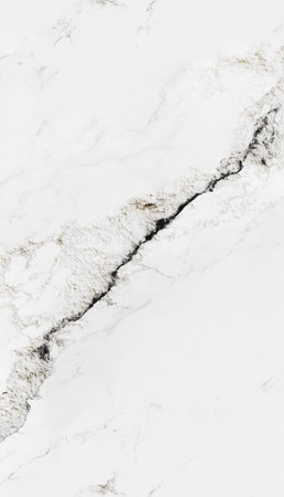Elegant White Marble Stone Texture Backdrops with Intricate Veins, Ideal for Sophisticated Designsの素材