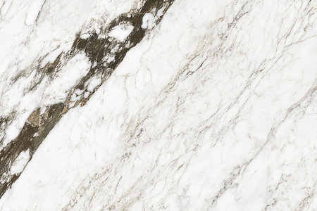 Elegant White Marble with Dark Veins for Luxury Interiors and Exquisite Design Projects.の素材