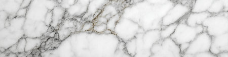 Elegant White Marble Stone with Luxurious Appearance, Highly Valued by Artists and Masons Alike.の素材