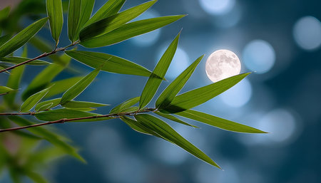 Enchanting Moonlit Bamboo Grove Under the Full Moon, Nature s Serenity and Tranquil Night Skyの素材