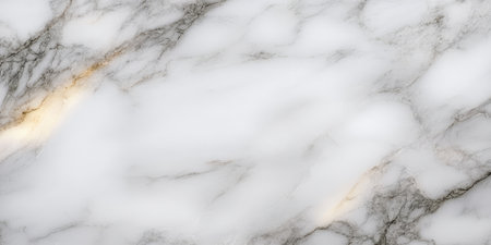 Elegant Natural White Grey Marble Surface with Unique Pattern and Veins Texture for Interior Designの素材