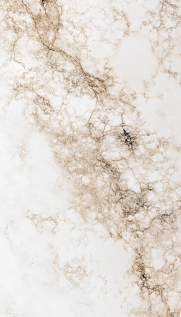Elegant Marble Surface with Intricate Patterns and Natural Stone Texture for Luxury Interior Designの素材
