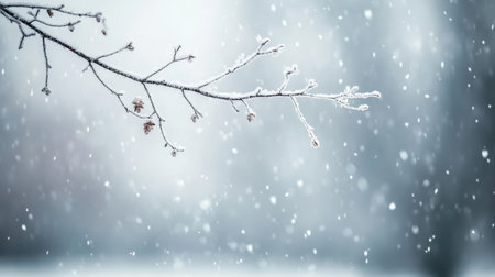 Stunning Winter Wonderland Scene Frost-Covered Branches Against a Serene Snowy Blue Backgroundの素材