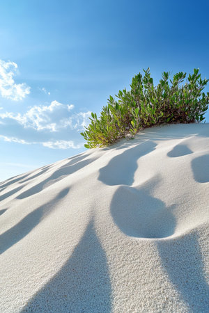 Stunning white sand dunes glisten under warm sunlight, showcasing intricate textures and greenery.の素材