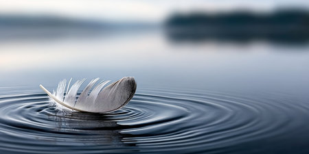 Delicate Feather Floating on Water Surface with Soft Reflections Creating a Serene and Calm Sceneの素材