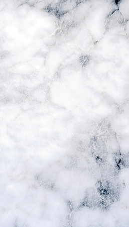 Stylish White Marble Slab Background with Subtle Veins for Elegant Design and Architecture Projectsの素材