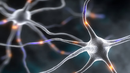 Interconnected Neuron Network Illustrating Synaptic Transmission and Neural Communication Processesの素材