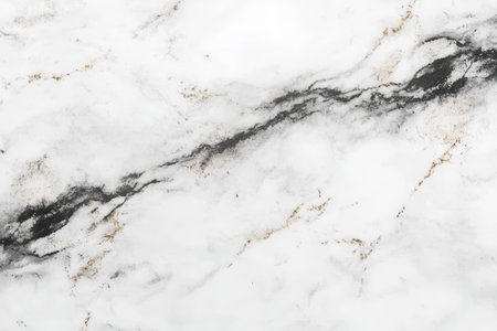 Elegant Bianco Marble Slab Surfaces Reflecting Intricate Texture with Beautiful Veining Patternsの素材