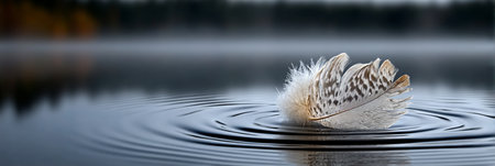 Delicate Feather Floating Gracefully on the Rippled Surface of a Serene Autumn Lake at Duskの素材