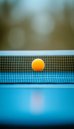 A Perfectly Balanced Ping Pong Ball Gently Touching the Net in a Moment of Tension and Suspenseの素材