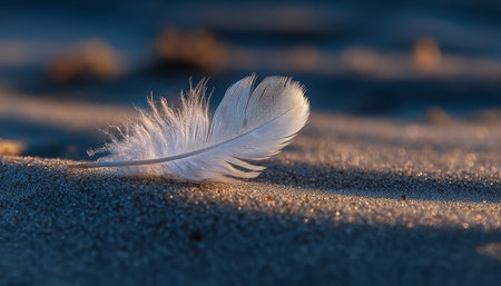 Tranquil Seashore Serenity A White Feather Gracefully Resting on Soft Sand Under a Clear Blue Skyの素材